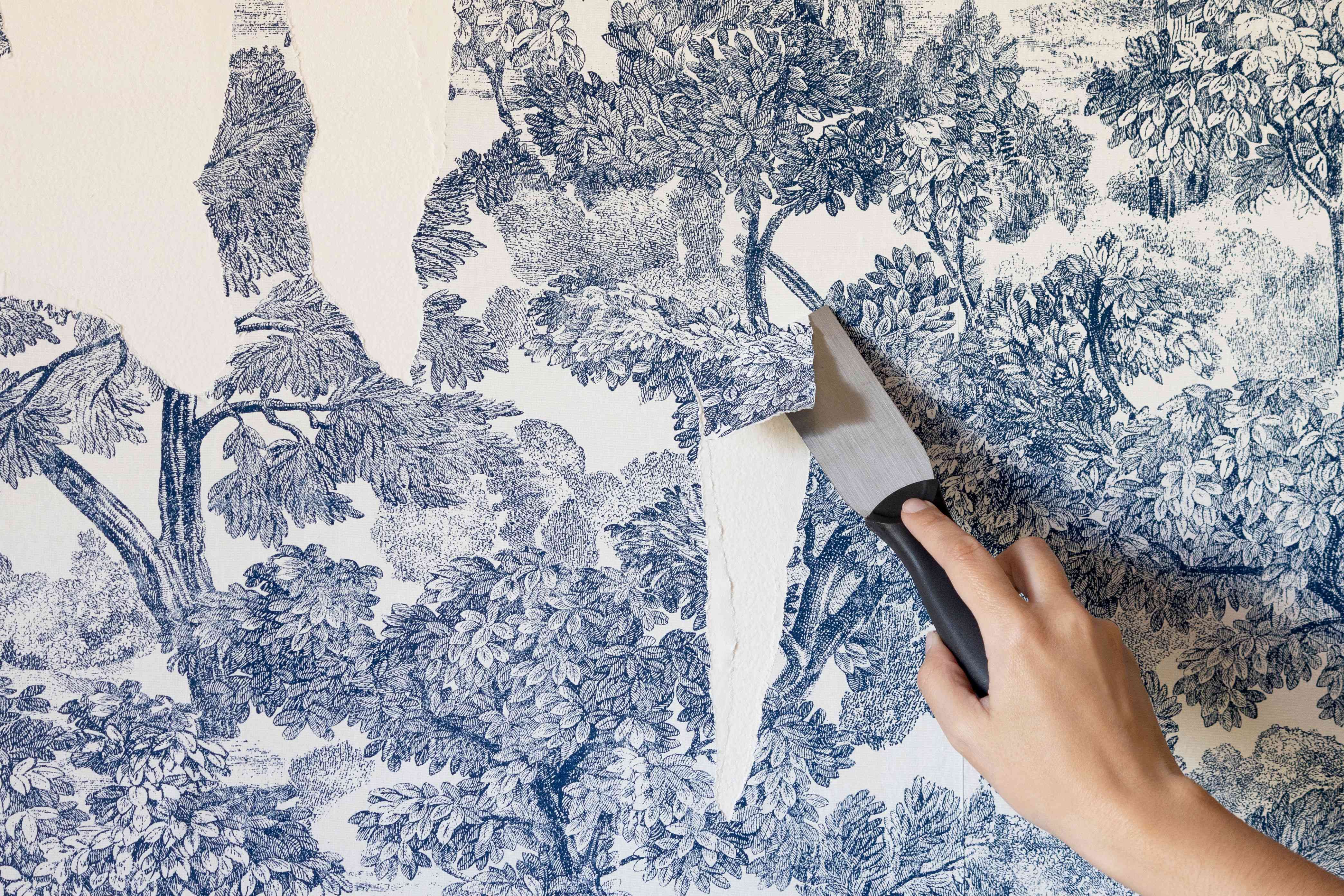 Wall Repair